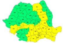 Cod galben de ploi și vânt