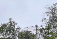 Lucrări pe DN 66, în Defileul Jiului. Cum se va circula