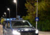 Jandarmii, în acțiune după ce urșii și-au făcut apariția în mai multe localități