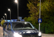 Jandarmii, în acțiune după ce urșii și-au făcut apariția în mai multe localități