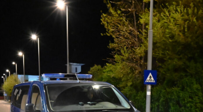 Jandarmii, în acțiune după ce urșii și-au făcut apariția în mai multe localități