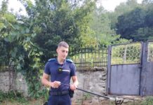 Intervenție pentru îndepărtarea unui șarpe la Padeș
