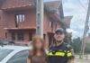 Minoră dispărută din Italia, găsită în Gorj
