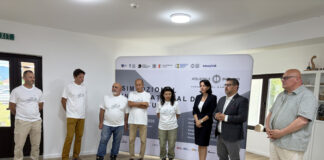 Tabără de sculptură cu artiști străini la Hobița!