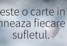 Invidia este o întristare pentru bunăstarea aproapelui – ,,Bun este Dumnezeu şi dătător de bunătăţi celor vrednici; rău este diavolul şi făcător al răutăţilor, iar, dacă lipsa de invidie vine de la Cel bun, tot aşa invidia urmează diavolului”!