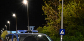Val de alerte în Gorj, după ce urșii și-au făcut apariția în trei localități