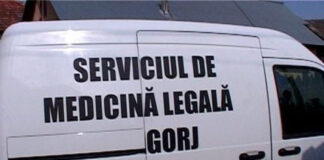 Bărbat electrocutat la Zilele Comunei Berlești