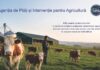 Bani pentru crescătorii de animale