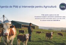 Bani pentru crescătorii de animale
