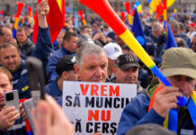 Posibilități de angajare pentru angajații dați afară de la CEO. Unde ar putea lucra foștii ,,determinați” pe salarii decente