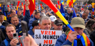 Posibilități de angajare pentru angajații dați afară de la CEO. Unde ar putea lucra foștii ,,determinați” pe salarii decente