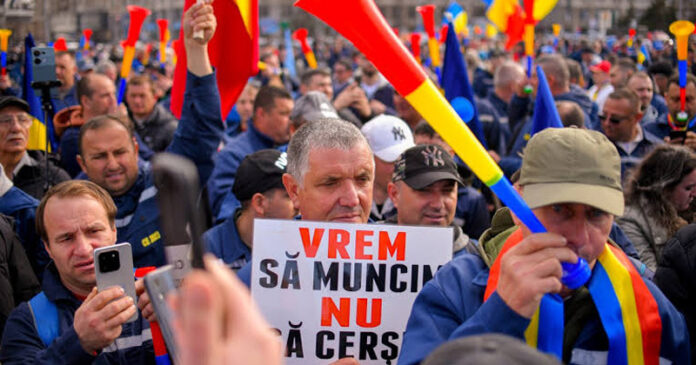 Posibilități de angajare pentru angajații dați afară de la CEO. Unde ar putea lucra foștii ,,determinați” pe salarii decente