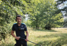 Șarpe descoperit în curtea unei case din Padeș