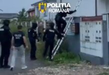VIDEO: Percheziție în Gorj, într-o anchetă a polițiștilor și procurorilor din Brașov