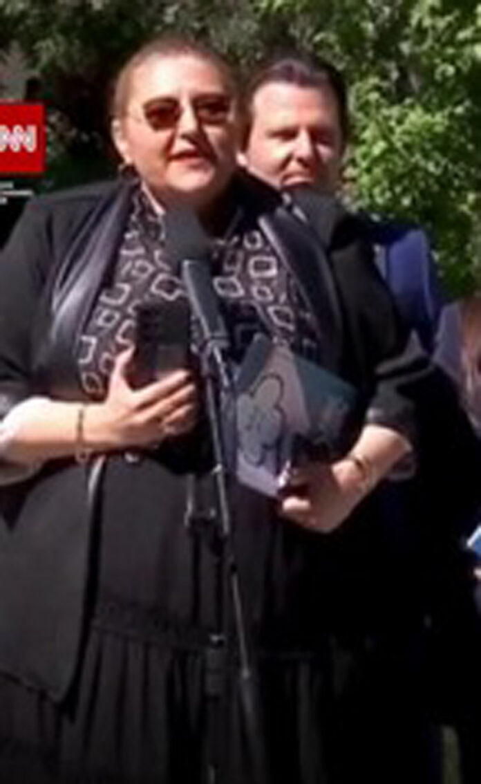 Diana Șoșoacă, implicată într-un accident