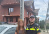 Adolescentă dispărută în Italia, găsită în Gorj după 11 zile de căutări