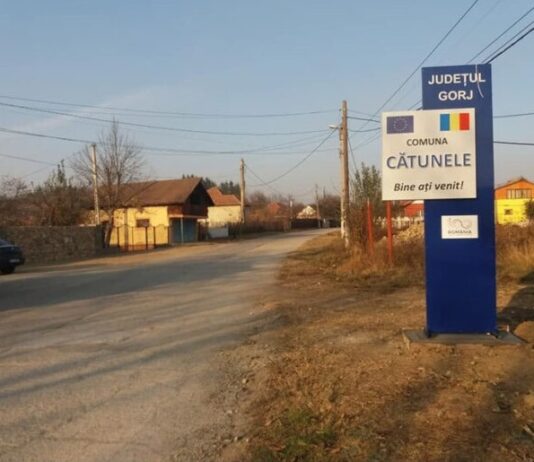 Zilele Comunei Cătunele, fără artiști invitați