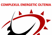 Licitația pentru parcurile solare ale CEO și Tinmar, finalizată