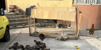 Amendat pentru că aduna deșeuri fără autorizație