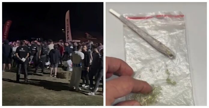 Patru gorjeni prinși cu droguri la un festival din Vâlcea