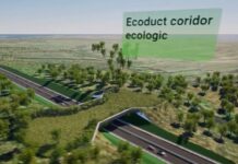 S-au găsit constructorii pentru lotul 6 al DEx Craiova – Târgu Jiu