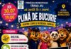 Târgu Jiu: „Film în Parc” ajunge joi în cartierul Revoluției