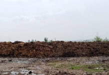 Amendă RECORD pentru recidivă în Târgu Jiu, de la comisarii de mediu