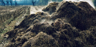Agricultura pe înțelesul tuturor – Gunoiul de grajd – o comoară a fermierilor