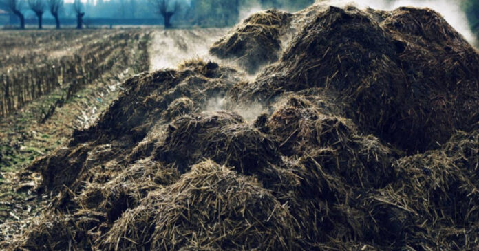Agricultura pe înțelesul tuturor – Gunoiul de grajd – o comoară a fermierilor