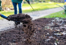 Agricultura pe înțelesul tuturor – Gunoiul de grajd – o comoară a fermierilor