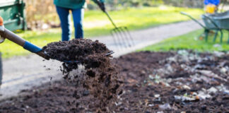 Agricultura pe înțelesul tuturor – Gunoiul de grajd – o comoară a fermierilor