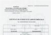 Certificatul de integritate comportamentală poate fi obținut online