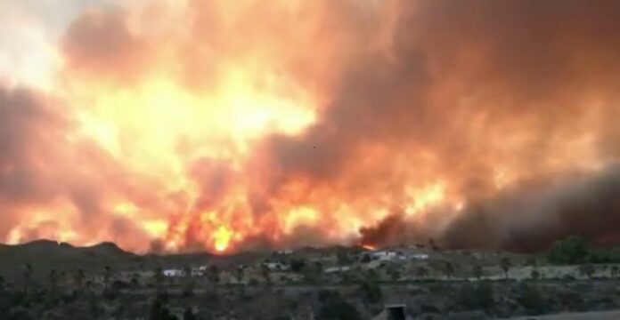 italia foc