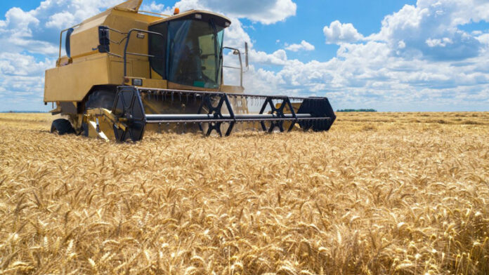 Agricultura pe înțelesul tuturor – Calendarul lucrărilor agricole în luna iulie