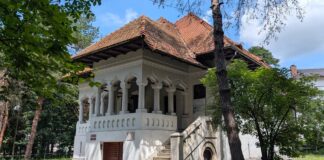11 ani de la înființarea Muzeului Național „Constantin Brâncuși” din Târgu Jiu