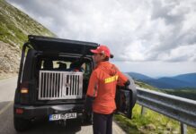 Salvare neobișnuită din Vârful Păpușa