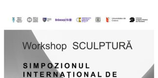 Studenți din Craiova participă la „Atelierele Brâncuși” de la Hobița