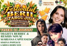 Festivalul Berii, din nou la Târgu Jiu. Cine urcă pe scenă