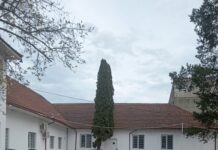 Un nou serviciu social în județul Gorj: Centrul de Criză pentru Persoane Adulte cu Dizabilități Mătăsari