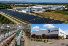 Carmistin continuă investițiile în Gorj: centrală fotovoltaică la Târgu Jiu