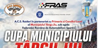 Viteză, adrenalină și spectacol la Târgu Jiu! Cupa Municipiului, etapă în Campionatul Național de Autocross