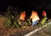 Lucrătorii de la Drumuri Naționale au intervenit noaptea pe DN 67, după furtună