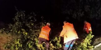 Lucrătorii de la Drumuri Naționale au intervenit noaptea pe DN 67, după furtună