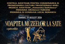 Noaptea Muzeelor, și la Borăscu