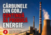 PSD Gorj își apără singurul ministru al Energiei care a avut acest portofoliu în ultimii ani