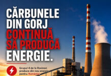PSD Gorj își apără singurul ministru al Energiei care a avut acest portofoliu în ultimii ani