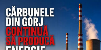 PSD Gorj își apără singurul ministru al Energiei care a avut acest portofoliu în ultimii ani