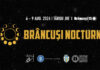 Brâncuși Nocturn revine la Târgu Jiu. La Peștișani începe festivalul de film!