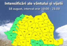 Cod galben de vânt, în Gorj