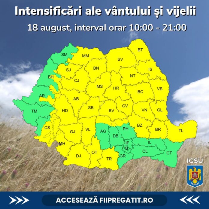 FB_IMG_1787045868790